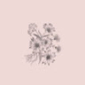 Meet your Posher, Bean